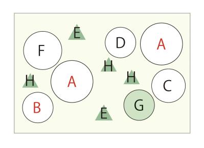  ダーク＆ワインレッドの花が主役の【晩秋の寄せ植え】個性的な花形に注目！（サムネイル画像10）