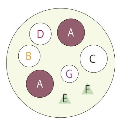  ダーク＆ワインレッドの花が主役の【晩秋の寄せ植え】個性的な花形に注目！（サムネイル画像4）