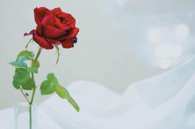 【卒婚】考えている人必見！〈実体験〉60代で夫婦関係を見つめ直した結果「離婚したけど気分は卒婚」（サムネイル画像2）