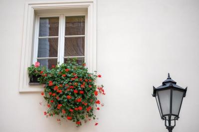 秋から始めるガーデニング：日が短くなると花咲く「短日植物」の育て方とコツ（サムネイル画像4）