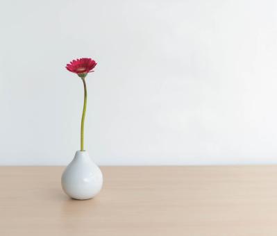 距離を置いて見えた夫婦の絆―65歳女性が語る【卒婚】の意外なメリットとは？（サムネイル画像2）