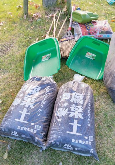 無農薬＆エコ！【街のボランティア花壇】晩秋の植えかえ作業を徹底レポート（サムネイル画像5）