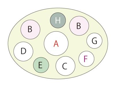 カラーリーフがおしゃれな【晩秋の寄せ植え】森をイメージした落ち着きのある一鉢（サムネイル画像4）