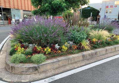 どの季節も花を楽しめる【街のボランティア花壇】剪定枝や抜いた花の再利用アイデアも公開！（サムネイル画像13）