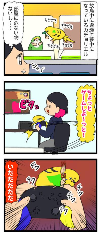 痛くても、うれしくて。飼い主を愛しすぎるセキセイインコの天使カチョ【鳥マンガ #155】（サムネイル画像4）