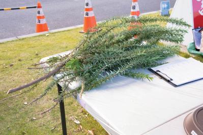 どの季節も花を楽しめる【街のボランティア花壇】剪定枝や抜いた花の再利用アイデアも公開！（サムネイル画像4）