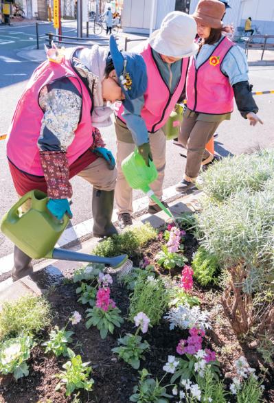 無農薬＆エコ！【街のボランティア花壇】晩秋の植えかえ作業を徹底レポート（サムネイル画像16）