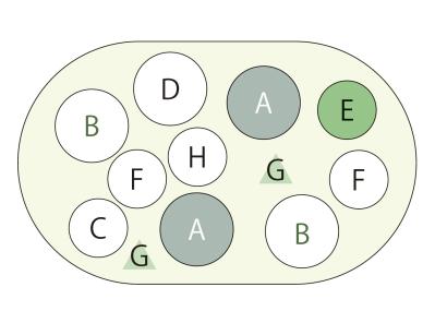 カラーリーフがおしゃれな【晩秋の寄せ植え】森をイメージした落ち着きのある一鉢（サムネイル画像6）