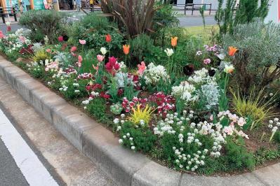 どの季節も花を楽しめる【街のボランティア花壇】剪定枝や抜いた花の再利用アイデアも公開！