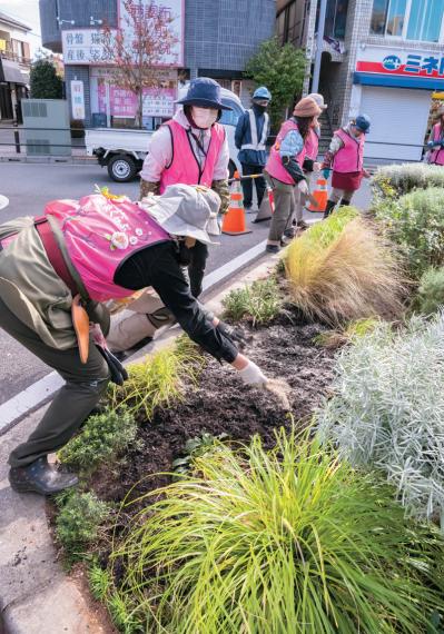 無農薬＆エコ！【街のボランティア花壇】晩秋の植えかえ作業を徹底レポート（サムネイル画像10）