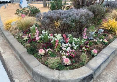 どの季節も花を楽しめる【街のボランティア花壇】剪定枝や抜いた花の再利用アイデアも公開！（サムネイル画像11）