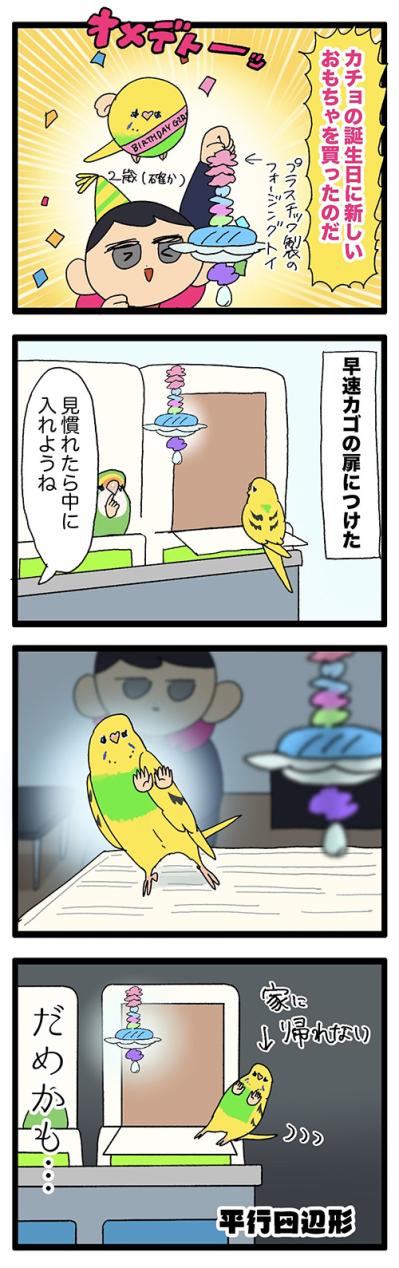 気の毒だけどかわいすぎる！セキセイインコのエピソード2選【鳥マンガ #154】（サムネイル画像4）