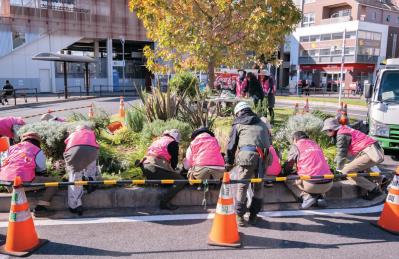 地域を彩る【ボランティア花壇】とは？調布市「ちょうふ花未来くらぶ」の取り組みを紹介（サムネイル画像7）
