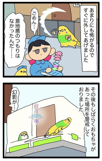 気の毒だけどかわいすぎる！セキセイインコのエピソード2選【鳥マンガ #154】（サムネイル画像5）