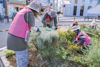 無農薬＆エコ！【街のボランティア花壇】晩秋の植えかえ作業を徹底レポート（サムネイル画像8）