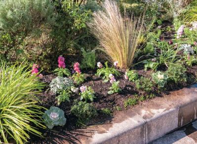 無農薬＆エコ！【街のボランティア花壇】晩秋の植えかえ作業を徹底レポート（サムネイル画像17）