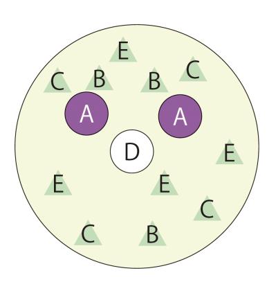ナチュラルな印象の【晩秋の寄せ植え】野原に咲く花の風景を小さな器の中に再現！（サムネイル画像6）