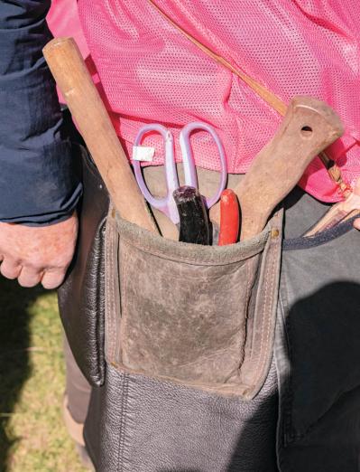 地域を彩る【ボランティア花壇】とは？調布市「ちょうふ花未来くらぶ」の取り組みを紹介（サムネイル画像4）