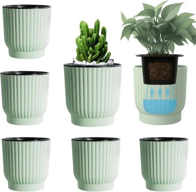 【最大20％OFF】ゆうゆうtime編集部おすすめのかわいい植木鉢や観葉植物がAmazonタイムセールに登場！（サムネイル画像4）