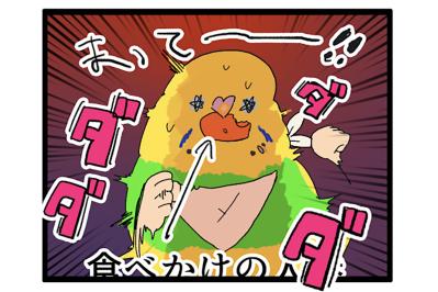 セキセイインコが人参くわえて走る姿に胸キュン＆発情期エピソードも【鳥マンガ #159】