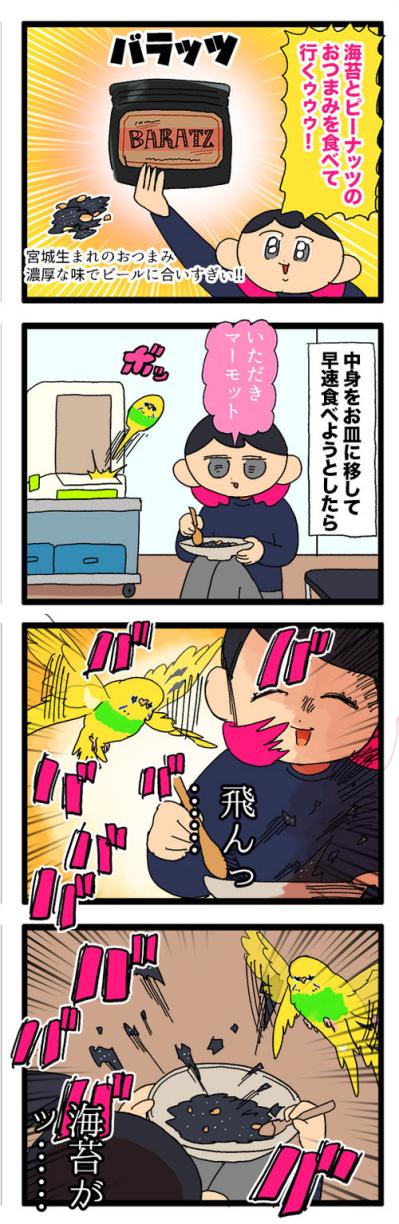 セキセイインコのカチョ、ついに産卵！？発情対策のコツも公開！【鳥マンガ #158】（サムネイル画像7）