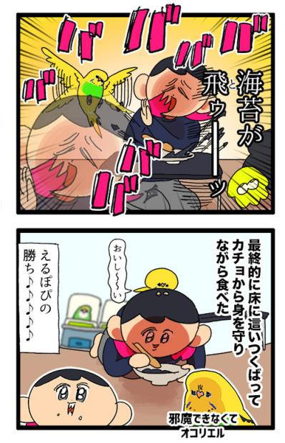 セキセイインコのカチョ、ついに産卵！？発情対策のコツも公開！【鳥マンガ #158】（サムネイル画像8）