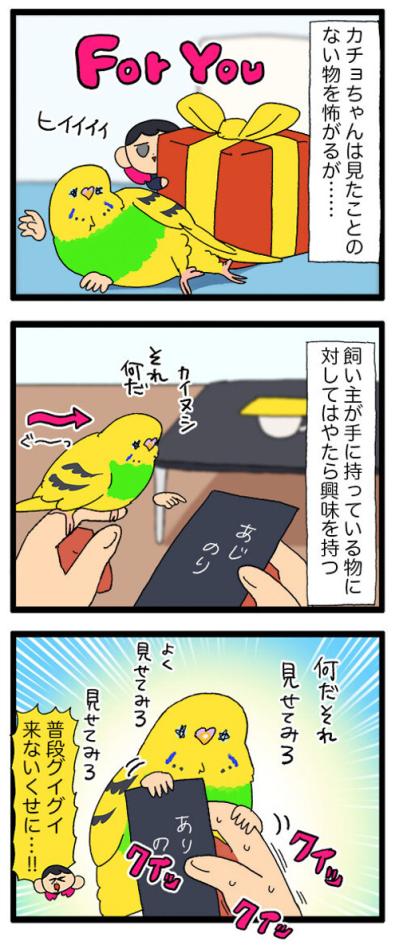 セキセイインコのカチョと味付け海苔の意外な関係とは？【鳥マンガ #157】（サムネイル画像4）