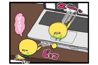 ダイエット再びの危機！？セキセイインコの体重管理が難しい【鳥マンガ #161】