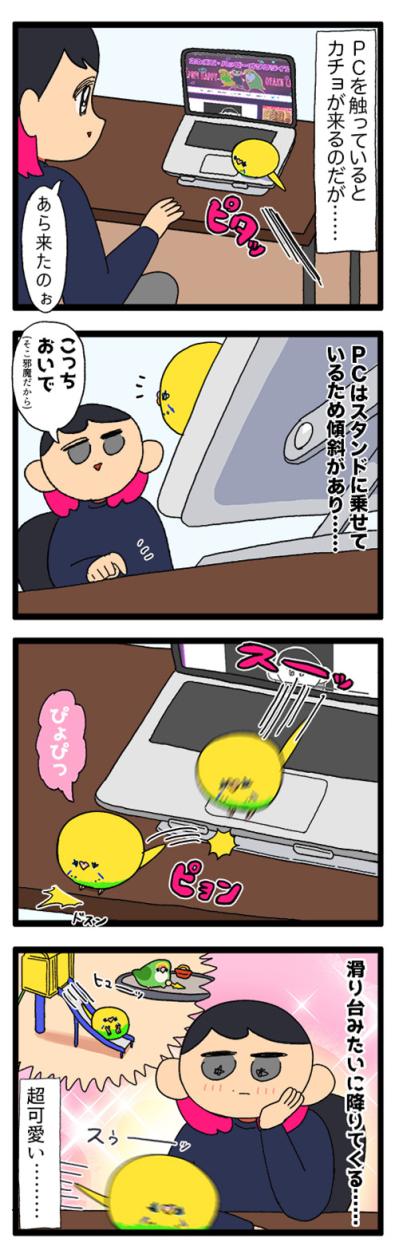 ダイエット再びの危機！？セキセイインコの体重管理が難しい【鳥マンガ #161】（サムネイル画像5）