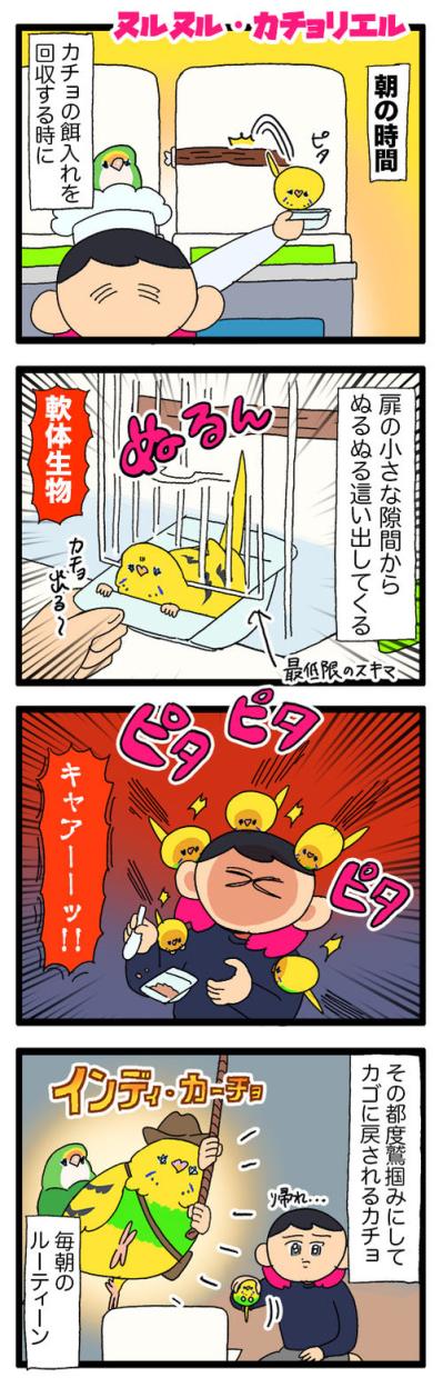 飼い主感動！換毛期のセキセイインコの葛藤がかわいすぎる【鳥マンガ #162】（サムネイル画像3）