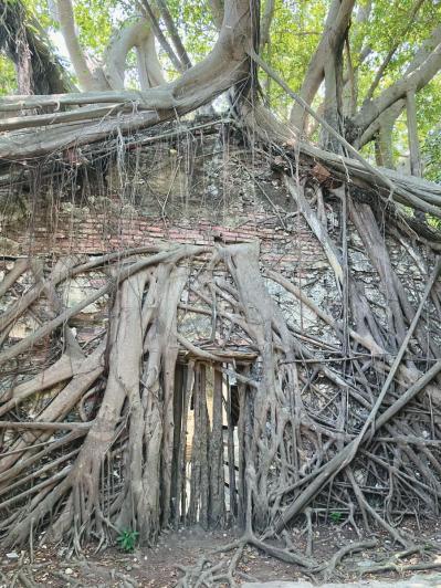  60代から始める自由な【ひとり旅】人気ブロガー・ショコラさんおすすめのスポットは？（サムネイル画像6）