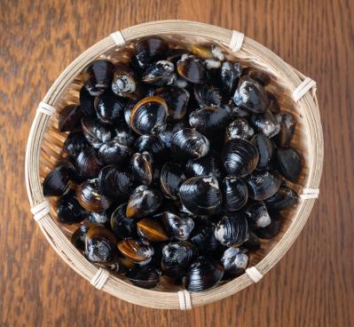 医師が解説する【耳鳴り・めまい】改善するのに良い栄養素＆悪影響を与えるNG習慣（サムネイル画像3）