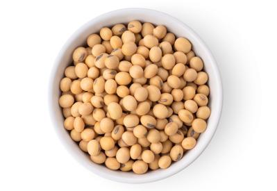 医師が解説する【耳鳴り・めまい】改善するのに良い栄養素＆悪影響を与えるNG習慣（サムネイル画像6）