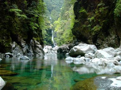 林業から生まれた森の枝リードディフューザー（クロモジ）（サムネイル画像2）