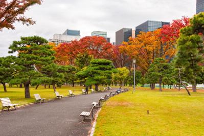 【中道あんさん流】60代で始めたひとり暮らし！買って良かった家電ベスト3と不要になった意外アイテム（サムネイル画像4）