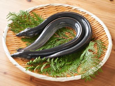 医師が解説する【耳鳴り・めまい】改善するのに良い栄養素＆悪影響を与えるNG習慣（サムネイル画像8）