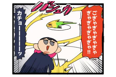 あまりにもセキセイインコすぎてビックリしてしまう！「そうか、大人になったんだね」【鳥マンガ #167】（サムネイル画像）