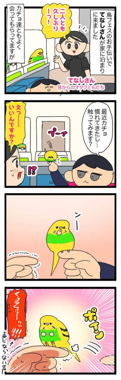 先輩女帝ゴルちゃんの努力を片っ端から無に帰す後輩インコ・カチョ【鳥マンガ #168】（サムネイル画像4）