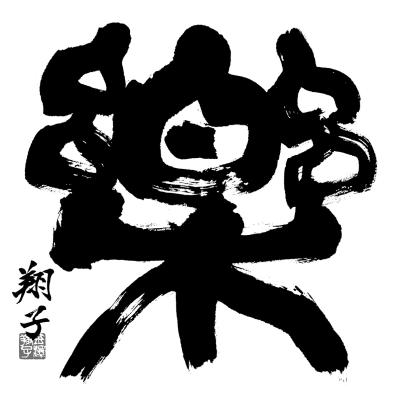 【ダウン症の書家・金澤翔子さん】のマジック。「私が仕組んだカラクリは知らないので…」という母の想い（サムネイル画像2）