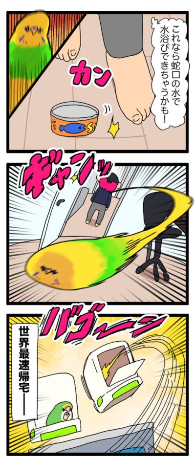 あまりにもセキセイインコすぎてビックリしてしまう！「そうか、大人になったんだね」【鳥マンガ #167】（サムネイル画像5）
