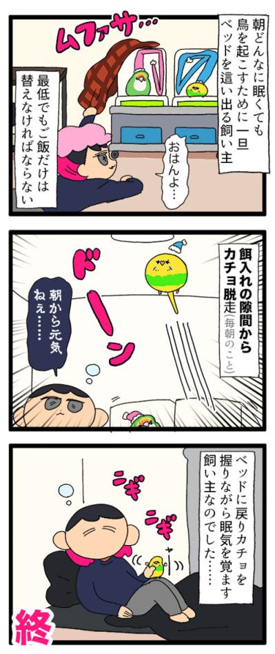 飼い主の食べているヨーグルトにダイブしたインコの末路【鳥マンガ #171】（サムネイル画像3）
