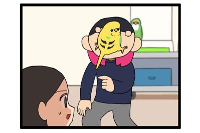 インコの換羽期。元気のないカチョを見た女帝ゴルちゃんの態度にびっくり！【鳥マンガ #172】
