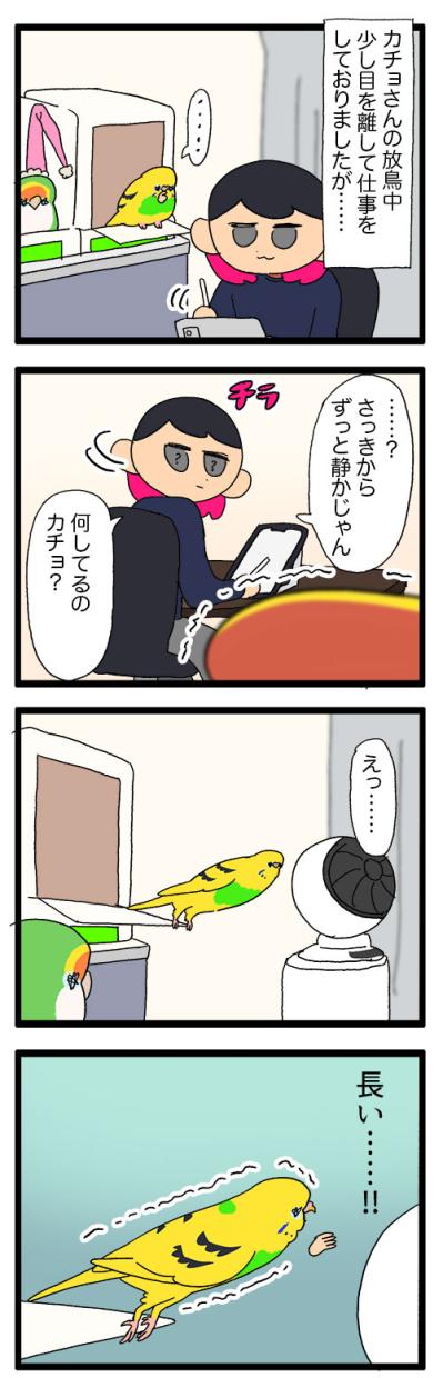 飼い主と先輩インコに律儀に挨拶！面白すぎるインコ・カチョの日常【鳥マンガ #169】（サムネイル画像6）