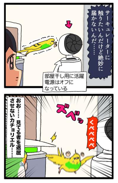 飼い主と先輩インコに律儀に挨拶！面白すぎるインコ・カチョの日常【鳥マンガ #169】（サムネイル画像7）
