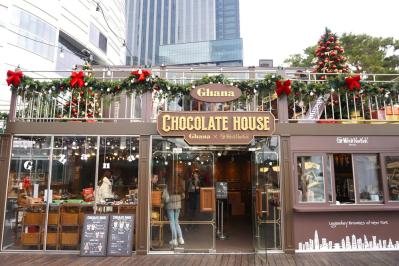 【最新 韓国旅行】ソウル 江南エリアでクリスマスを満喫！過去イチかわいいと評判の場所とは？（サムネイル画像4）