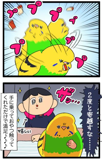 手に乗せたおやつに初めて興味を持ったインコ！果たして反応は？【鳥マンガ #174】（サムネイル画像7）