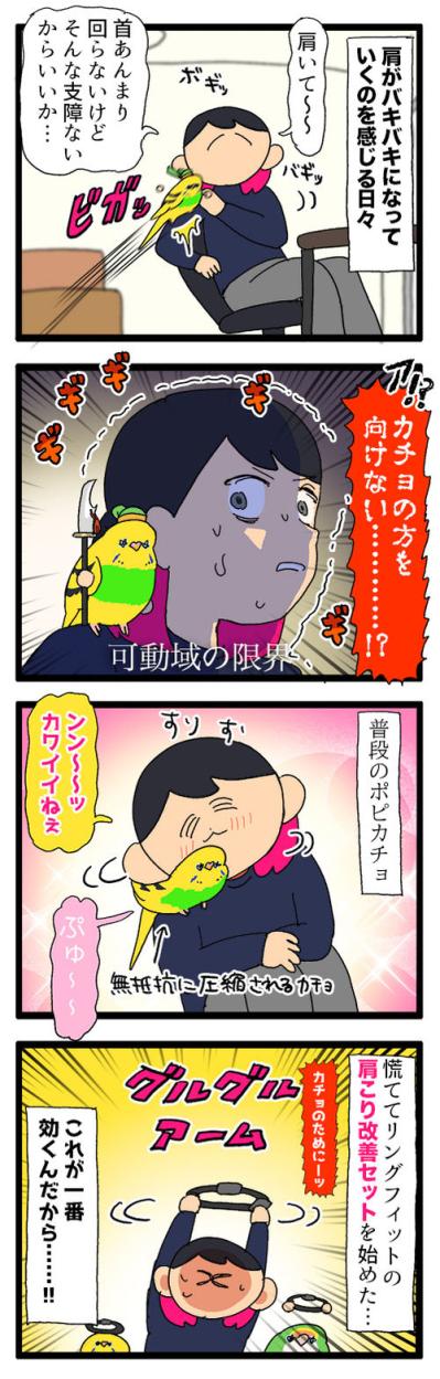 手に乗せたおやつに初めて興味を持ったインコ！果たして反応は？【鳥マンガ #174】（サムネイル画像4）