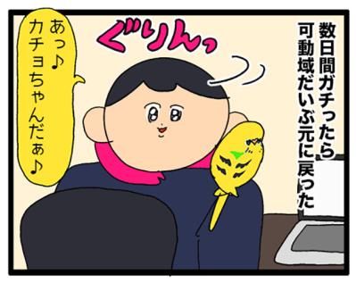 手に乗せたおやつに初めて興味を持ったインコ！果たして反応は？【鳥マンガ #174】（サムネイル画像5）
