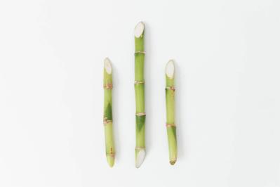 リビングや玄関に飾りたい【ミニ門松】造花の苔玉で簡単おしゃれ！（サムネイル画像6）