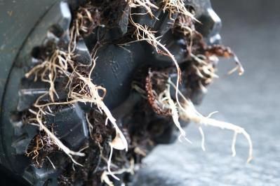 植物がぐんぐん育つ！鉢植えの用土選びのコツ。通気性・排水性を高めた配合土を作るには？（サムネイル画像7）